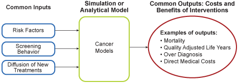 General formulation of CISNET models that can handle the full range of intervention inputs.